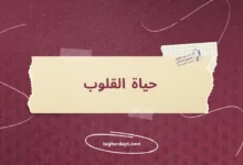 حياة القلوب أبو الربيع سليمان بن يخلف المزاتي رحمه الله